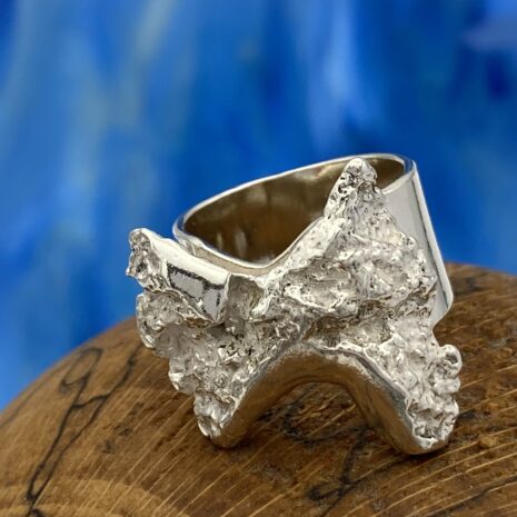 boomschors a boomschors a