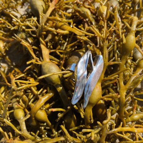 waterwave 2 waterwave 2